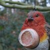 Vörösbegy alakú polyresin mogyoróvaj tartó madáretető