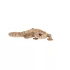 Gyík polyresin szobor, dekoráció, 16 x 8 x 3 cm, csomag,  12 db