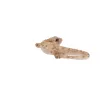 Gyík polyresin szobor, dekoráció, 16 x 8 x 3 cm, csomag,  12 db