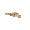 Gyík polyresin szobor, dekoráció, 16 x 8 x 3 cm, csomag,  12 db