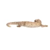 Gyík polyresin szobor, dekoráció, 19 x 8 x 3 cm, csomag,  12 db