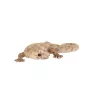 Gyík polyresin szobor, dekoráció, 19 x 8 x 3 cm, csomag,  12 db