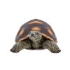 Teknős polyresin szobor, dekoráció, 24 x 15 x 9,5 cm, csomag,  6 db