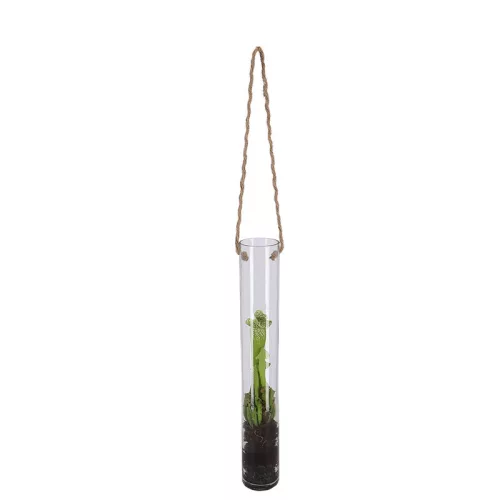 Felakasztható növény gyökereztető váza, 1,1 literes, 78 cm, csomag, 12 db