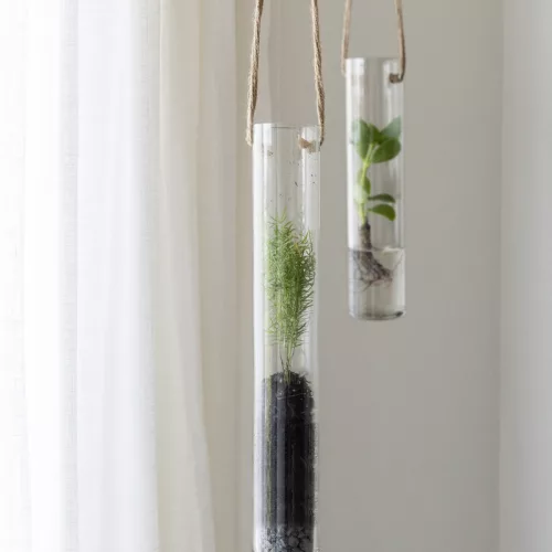 Felakasztható növény gyökereztető váza, 1,1 literes, 78 cm, csomag, 12 db