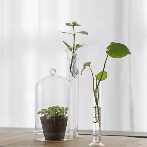 Talpas mérőhenger, 19 cm, csomag, 24 db