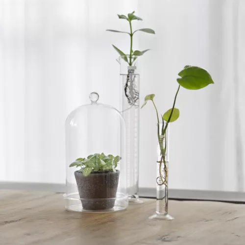 Talpas mérőhenger, 19 cm, csomag, 24 db