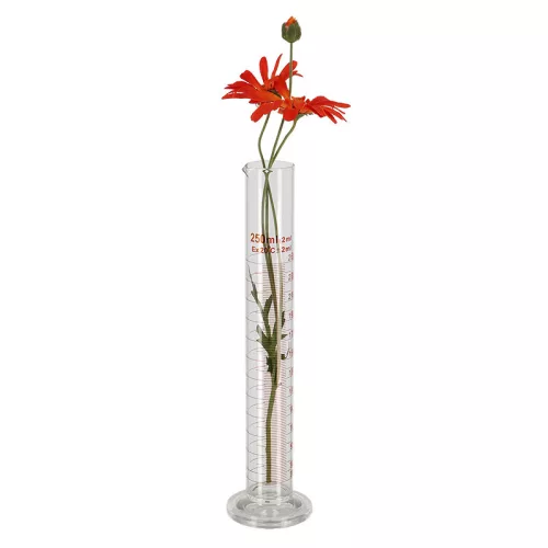 Talpas mérőhenger, 31 cm, csomag, 12 db
