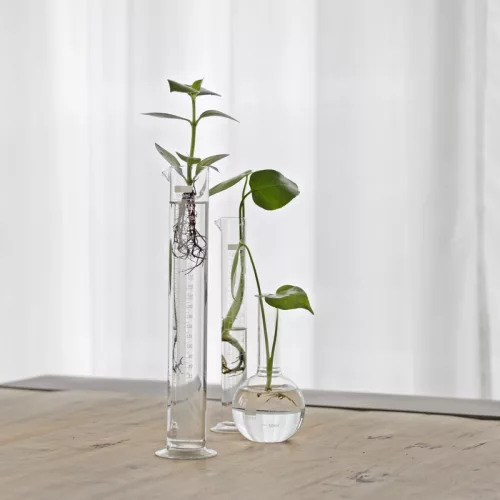 Talpas mérőhenger, 31 cm, csomag, 12 db