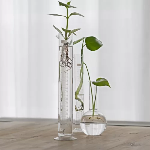 Talpas mérőhenger, 31 cm, csomag, 12 db