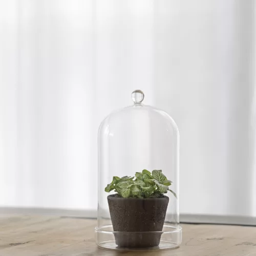 Dekorációs üveg búra, alappal, 12,8 cm átmérőjű, csomag, 8 db