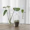Dekorációs üveg búra, alappal, 12,8 cm átmérőjű, csomag, 8 db