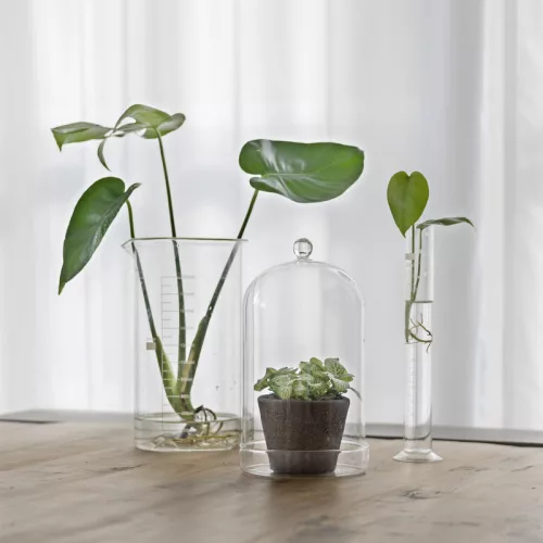 Dekorációs üveg búra, alappal, 12,8 cm átmérőjű, csomag, 8 db