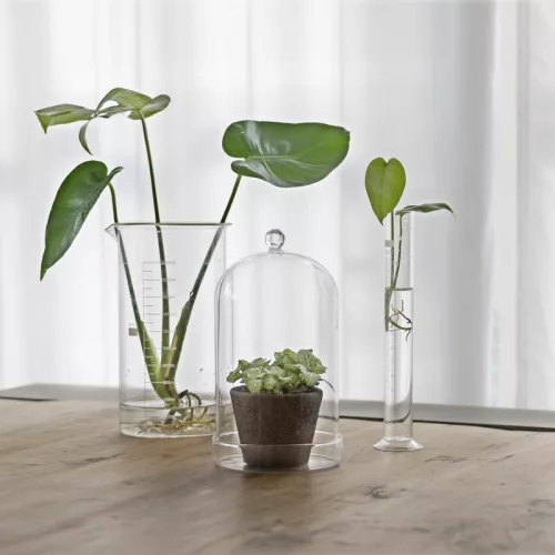 Dekorációs üveg búra, alappal, 12,8 cm átmérőjű, csomag, 8 db