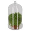 Dekorációs üveg búra, alappal, 16,3 cm átmérőjű, csomag, 4 db