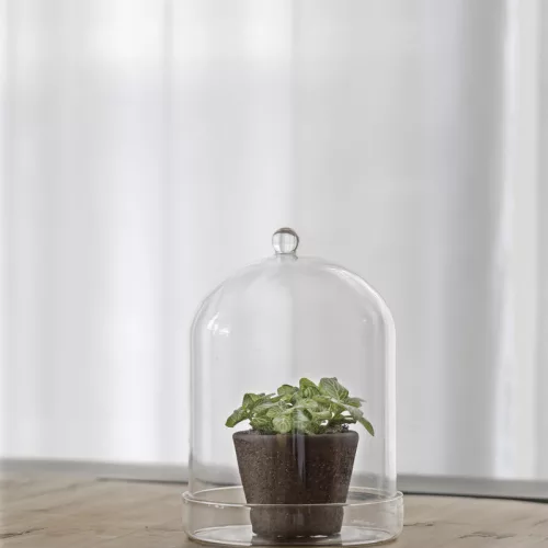 Dekorációs üveg búra, alappal, 16,3 cm átmérőjű, csomag, 4 db