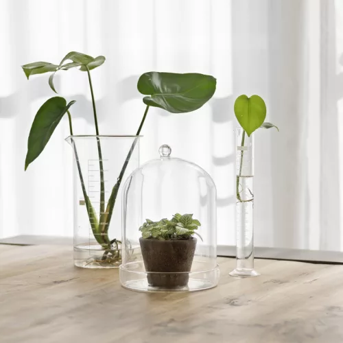 Dekorációs üveg búra, alappal, 16,3 cm átmérőjű, csomag, 4 db