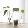 Dekorációs üveg búra, alappal, 16,3 cm átmérőjű, csomag, 4 db