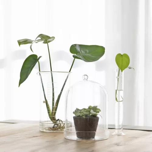 Dekorációs üveg búra, alappal, 16,3 cm átmérőjű, csomag, 4 db