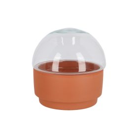 Florárium terrakotta alappal, 17 cm átmérőjű