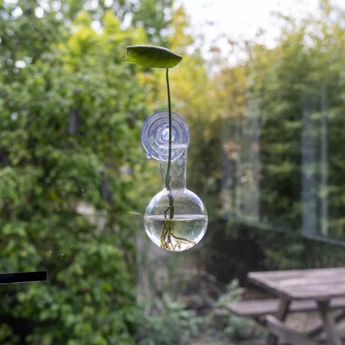 Ablakra helyezhető növény gyökereztető üveg váza, 0,29 literes, csomag,  24 db