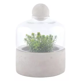   Növény palántázó beton tartóval és üveg búrával, 24 cm, csomag, 6 db
