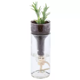 Önöntözős üvegpalántázó, 21 cm, csomag, 24 db