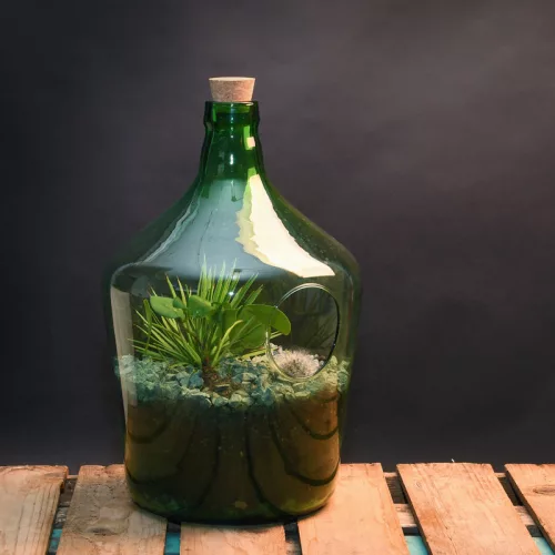 Speciális virágföld floráriumhoz, 5 literes, csomag, 12 db