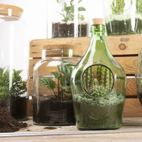 Henger alakú florárium parafa tetővel, 5 literes, csomag, 4 db