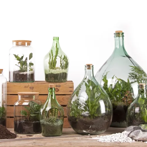 Henger alakú florárium parafa tetővel, 5 literes, csomag, 4 db