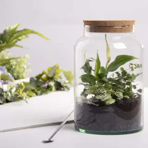 Henger alakú florárium parafa tetővel, 6,2 literes, csomag, 4 db