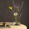 Dekorációs üvegtál, Ikebana japán virágrendező tál, S
