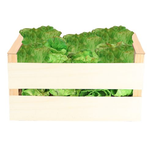 Fejes káposzta, műzöldség élethű dekoráció, 11 x 11 x 13 cm, csomag,  36 db