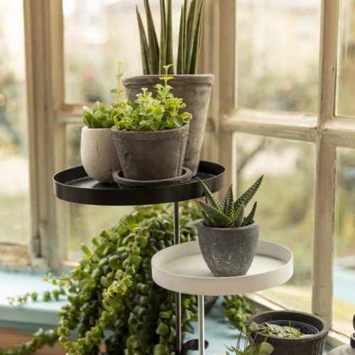 Terrakotta virágcserép szett, szürke, 3 db-os