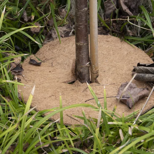 Biológiailag lebomló kókuszrost fagyvédő korong, 28 cm átmérőjű, csomag, 36 db
