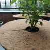Juta növényvédő korong, 25 cm átmérőjű, csomag, 24 db