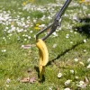 Rozsdamentes acél szemétszedő csipesz, 98,5 cm, csomag,  12 db
