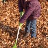 Fa nyelű gyerek lombseprű, 82,5 cm, csomag, 12 db