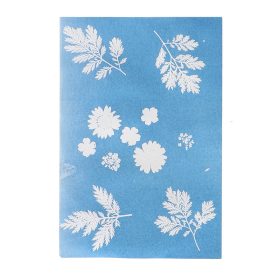   Kontaktmásoló fotópapír növényekhez, A4 méretben 6 db-os, csomag, 24 db