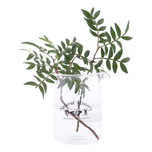 Üveg mérőpohár, 500 ml, csomag, 36 db