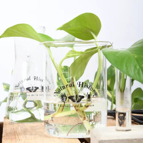 Üveg mérőpohár, 500 ml, csomag, 36 db