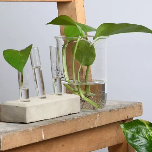 Üveg mérőpohár, 500 ml, csomag, 36 db