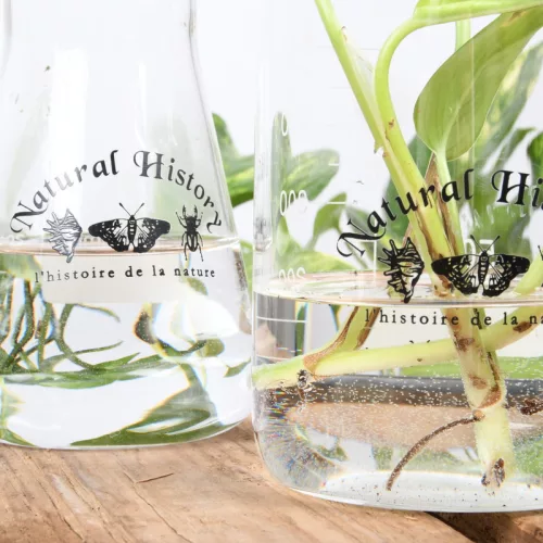 Üveg mérőpohár, 500 ml, csomag, 36 db