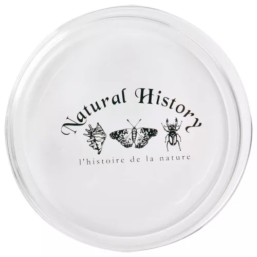 Petri csésze, 120 ml, csomag, 48 db