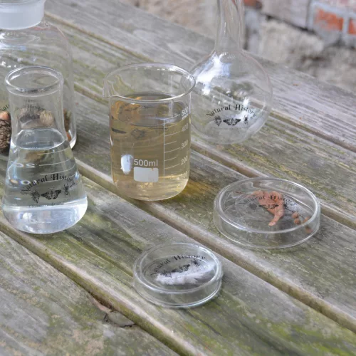 Petri csésze, 120 ml, csomag, 48 db