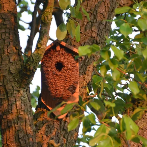Madárház kókuszrostból, 26 cm, csomag, 12 db