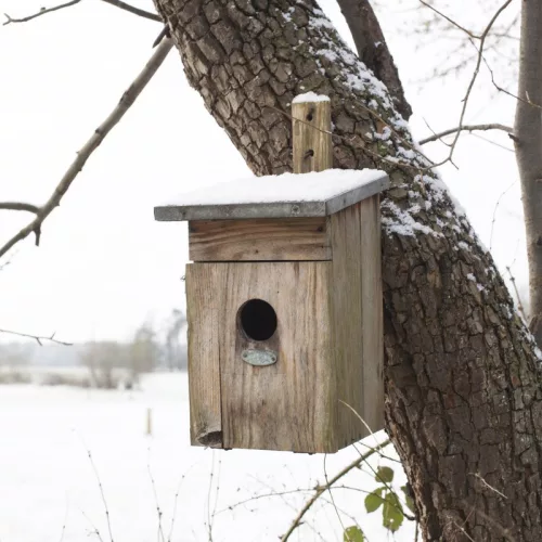 Fa madárház seregélynek, cink tetővel 39 cm, csomag, 4 db