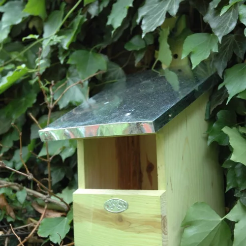 Fa madárház vörösbegynek, 33 cm