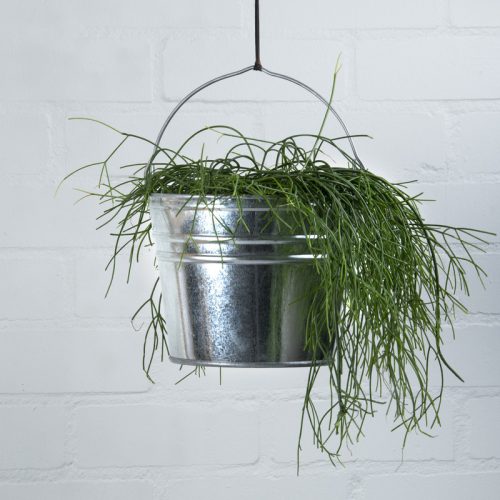 Cink vödör, 7 literes