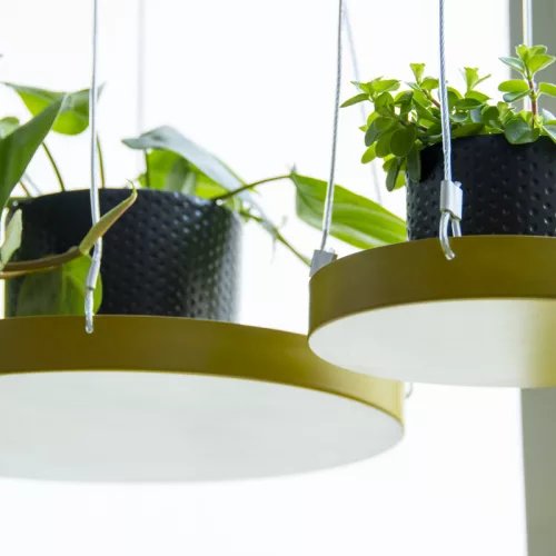 Függő dekoratív fém tálca, aranysárga, 14 cm átmérőjű, csomag, 12 db